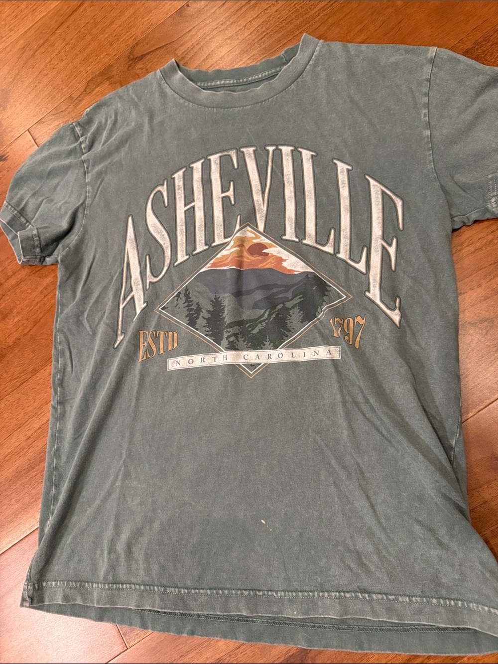 Asheville Graphic Tee in Faded Green